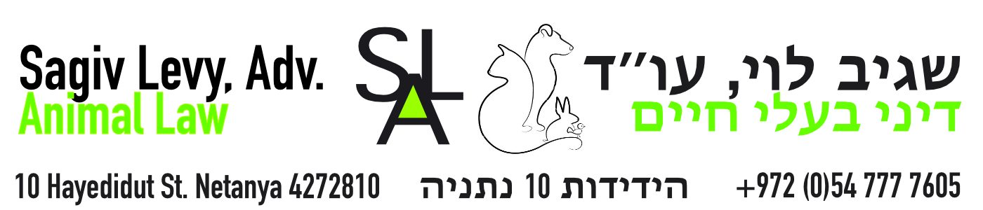 Sagiv Levy, Lawyer